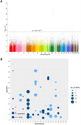 Whole-genome sequencing reveals rare variants associated with gout in Taiwanese males